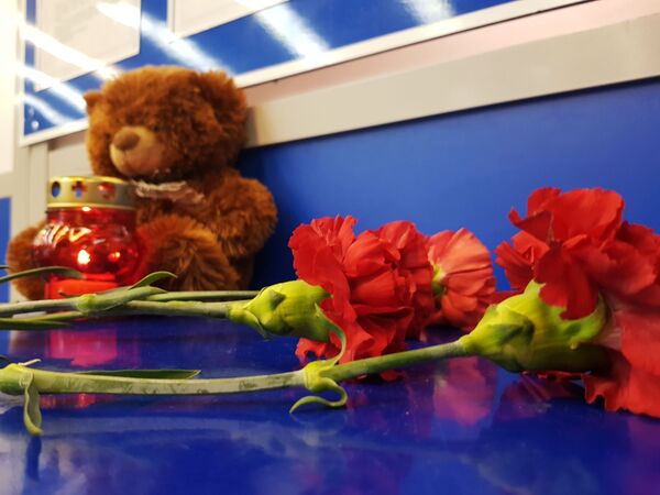 События ночи: трагедия в Шереметьево, падение в вулкан, перемирие в Израиле - Sputnik Молдова