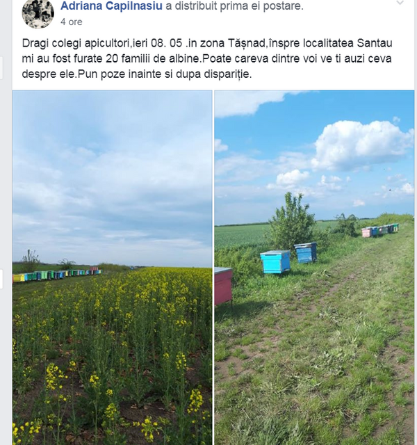 Mai mulți apicultori au rămas fără zece de familii: Hoții, mână-n mână cu Poliția – Foto Mai mulți apicultori au rămas fără zece de familii: Hoții, mână-n mână cu Poliția – Foto - Sputnik Moldova