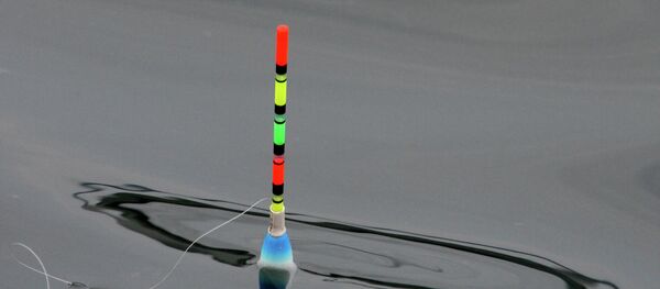 Поплавок  - Sputnik Молдова