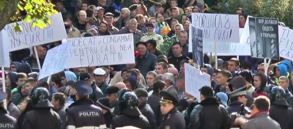 Proteste la Curtea de Apel Proteste la Curtea de Apel - Sputnik Молдова