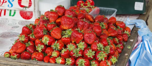 Клубника, архивное фото.  - Sputnik Молдова