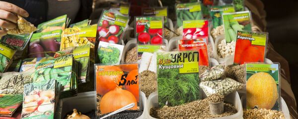 Центральный рынок - Sputnik Moldova