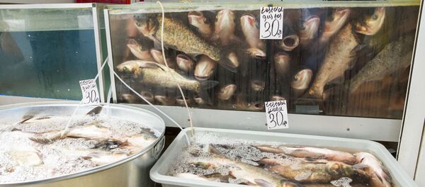 Живая рыба - Sputnik Молдова