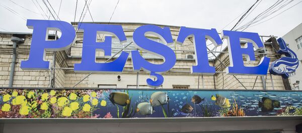 Центральный рынок Центральный рынок - Sputnik Moldova