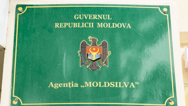 Moldsilva - Sputnik Moldova