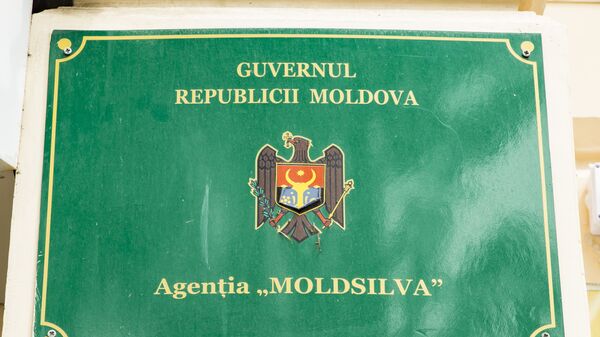 Moldsilva - Sputnik Moldova