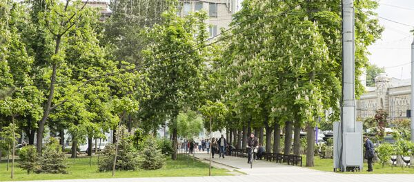 Люди в городе - Sputnik Молдова