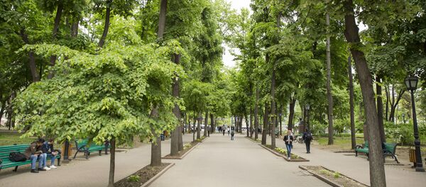 Общественный парк «Штефан чел Маре» Общественный парк «Штефан чел Маре» - Sputnik Moldova