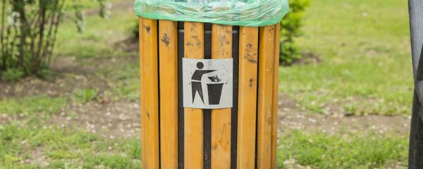 Урна - Sputnik Молдова