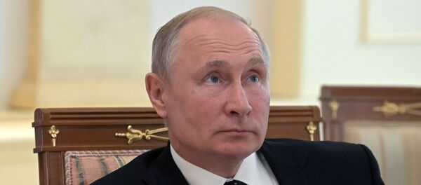 Встреча президента РФ В. Путина с президентом Австрии А. ван дер Белленом - Sputnik Moldova-România