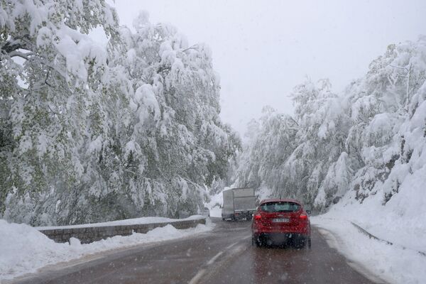 Căderi de zăpadă în Corsica - Sputnik Moldova