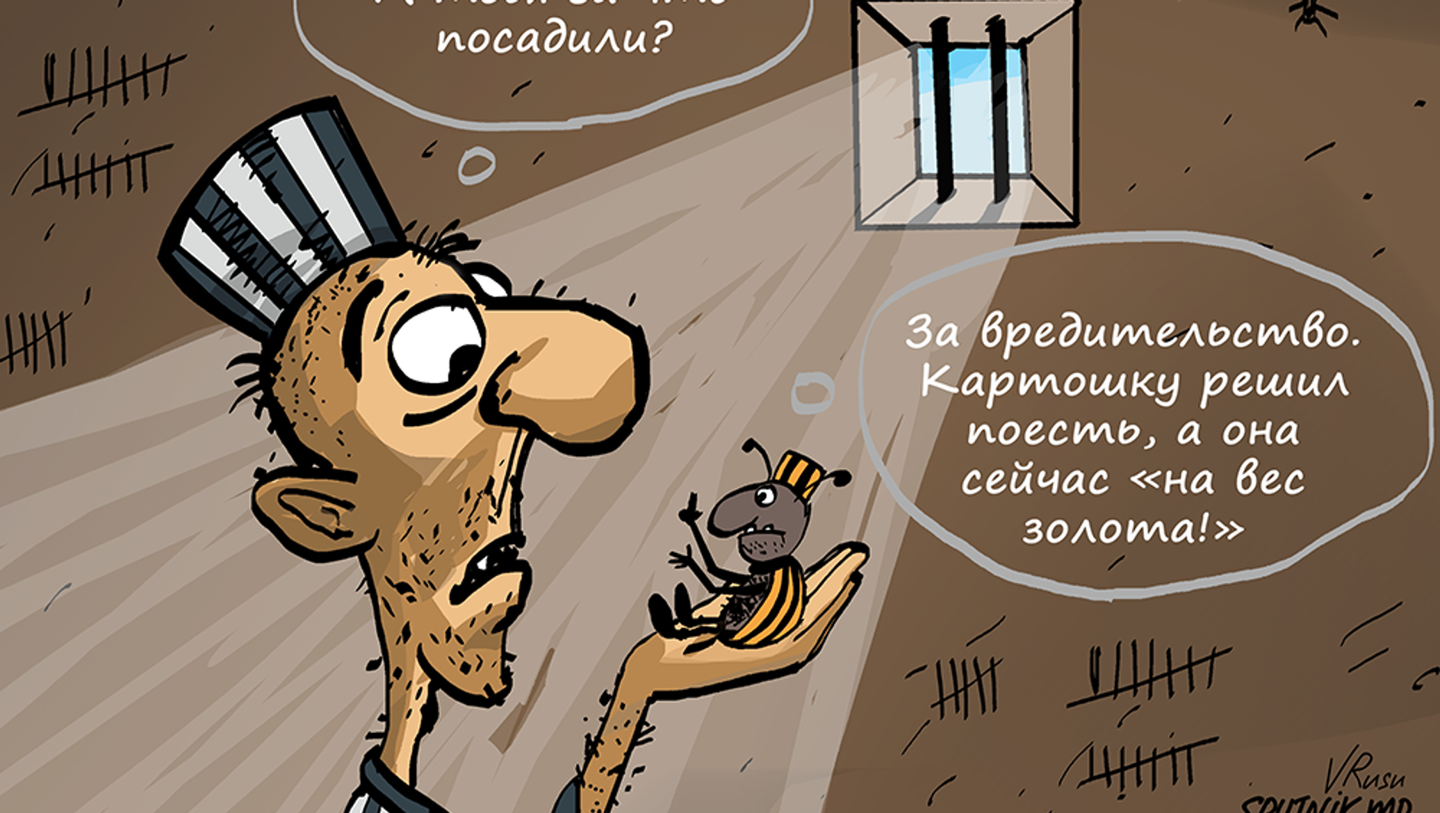 Веселые приключения колорадского жука в Молдове - 19.05.2019, Sputnik Молдова0