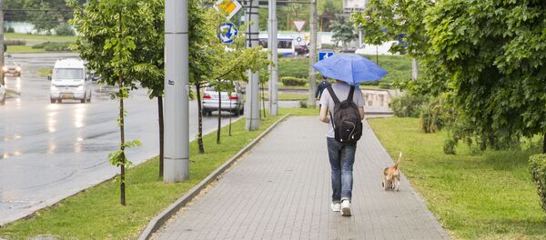 Дождь - Sputnik Moldova-România