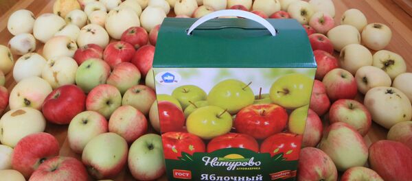Производство яблочного сока - Sputnik Молдова