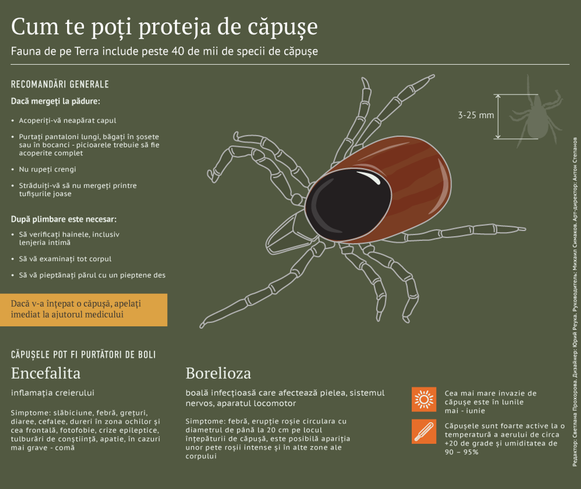 Cum te poți proteja de căpușe - Sputnik Moldova, 1920, 20.07.2021