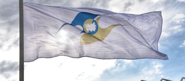 Президент РФ В. Путин принимает участие в заседании Высшего Евразийского экономического совета - Sputnik Молдова