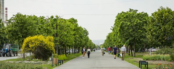 Аллея на бульваре Мирча чел Бэтрын - Sputnik Moldova