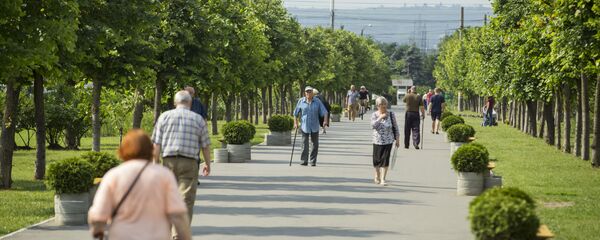 Аллея на бульваре Мирча чел Бэтрын - Sputnik Moldova