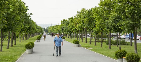 Аллея на бульваре Мирча чел Бэтрын, архивное фото. - Sputnik Молдова