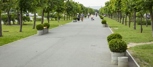 Аллея на бульваре Мирча чел Бэтрын Аллея на бульваре Мирча чел Бэтрын - Sputnik Молдова