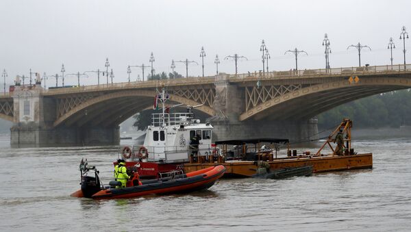 Vapor cu turiști scufundat pe Dunăre - Sputnik Moldova-România