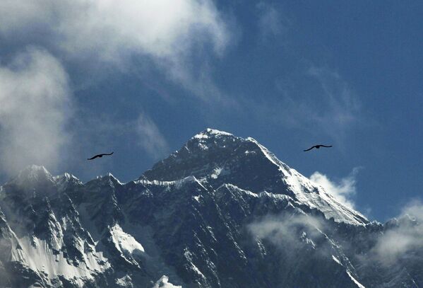Птицы над горой Эверест  - Sputnik Молдова