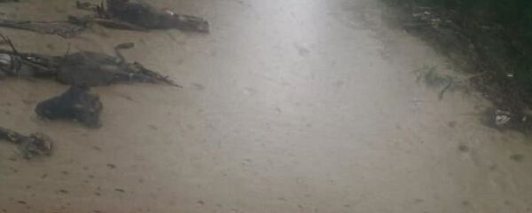 Inundații, viituri, ploi în România - Sputnik Moldova-România