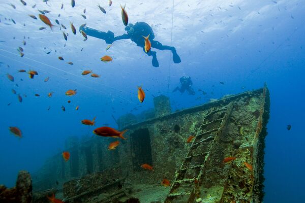 Diver - Corabie scufundată, Egipt - Sputnik Moldova
