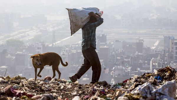 Индиец отбирает вещи на переработку в Нью-Дели, Индия - Sputnik Молдова