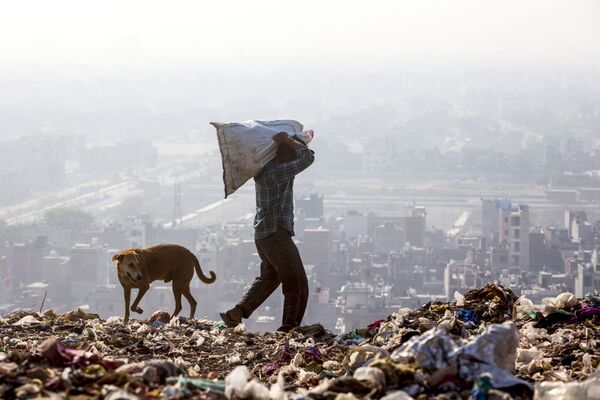 Индиец отбирает вещи на переработку в Нью-Дели, Индия - Sputnik Молдова