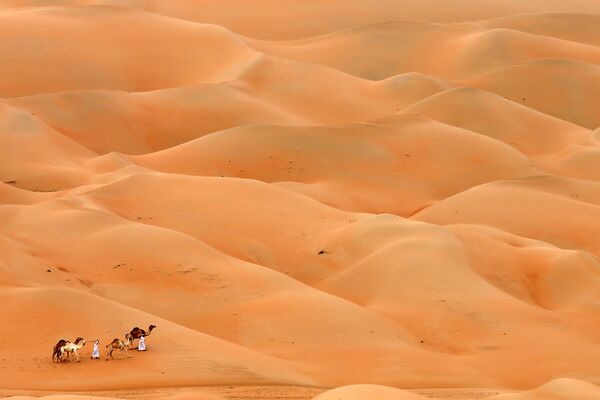 Мужчины с верблюдами проходят через пустыню Хамим, Абу-Даби - Sputnik Молдова