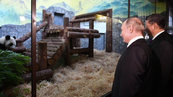 Мероприятия с участием президента РФ В. Путина в рамках государственного визита в РФ председателя КНР Си Цзиньпина - Sputnik Moldova