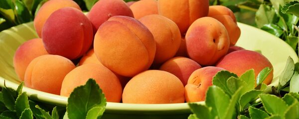 Абрикос - Sputnik Молдова