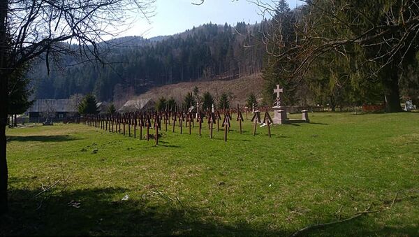 Cimitirul Internațional al Eroilor, Valea Uzului - Sputnik Moldova-România