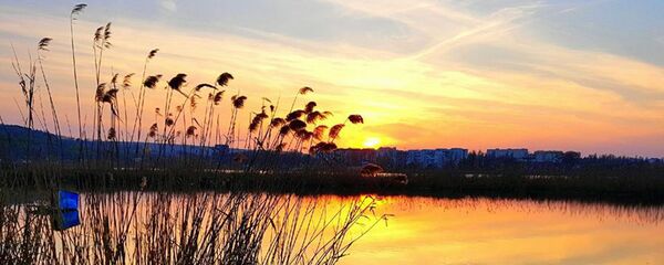 Парк Валя Морилор - Sputnik Moldova