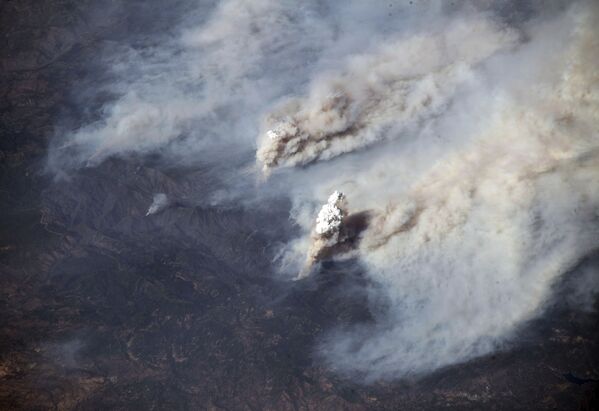 Фотография с МКС – вид на калифорнийские пожары - Sputnik Молдова