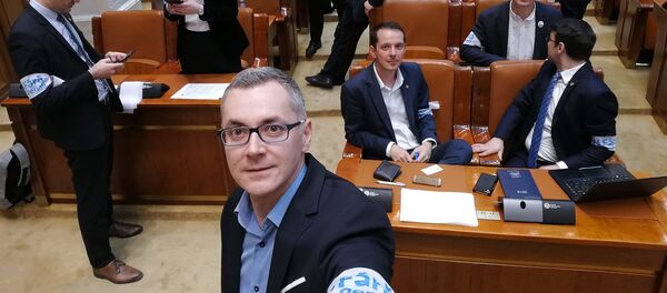 Stelian Ion, USR Stelian Ion, USR - Sputnik Moldova-România