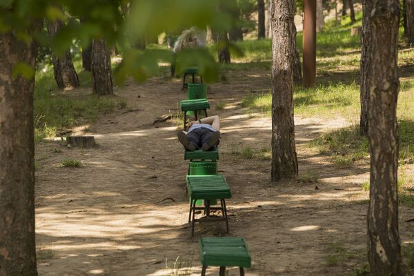 Пожилые кишиневцы предпочитают отдыхать на лавочках в тени сосен. - Sputnik Молдова