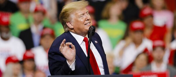 Президент США Дональд Трамп Президент США Дональд Трамп - Sputnik Молдова