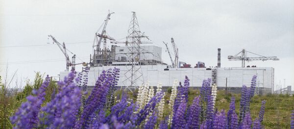 Смоленская АЭС Смоленская АЭС - Sputnik Молдова