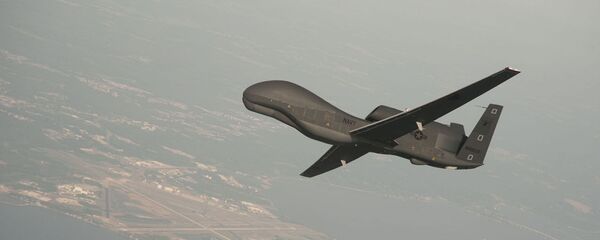 Американский беспилотник RQ-4 Global Hawk Американский беспилотник RQ-4 Global Hawk - Sputnik Moldova-România
