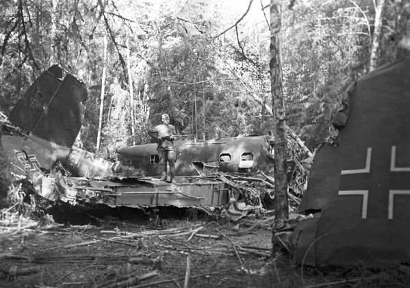 Сбитый советскими зенитчиками немецкий истребитель в подмосковном лесу - Sputnik Молдова