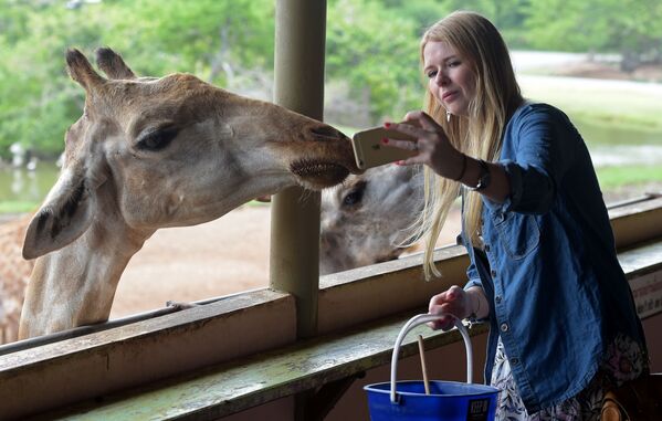Turistă făcând selfie cu o girafă la Grădina Zoologică, Bangkok - Sputnik Moldova