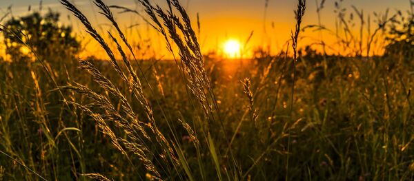 Природа - Sputnik Молдова