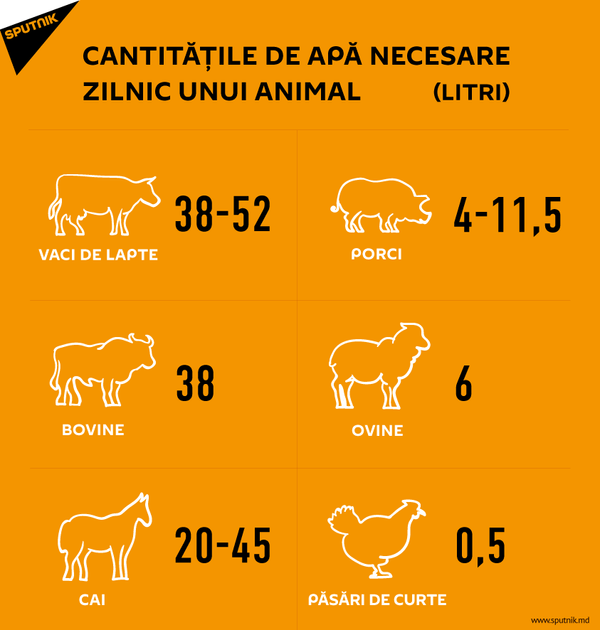 Pericolul din aceste zile: Greșeli frecvente ale celor care-și plimbă câinii Pericolul din aceste zile: Greșeli frecvente ale celor care-și plimbă câinii - Sputnik Moldova