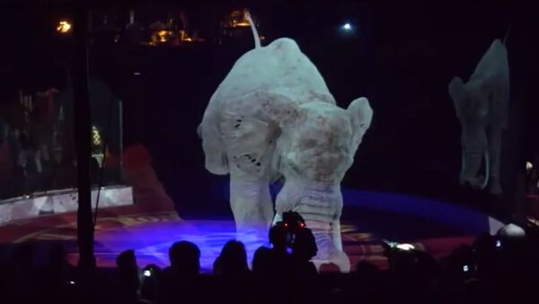 Немецкий Цирк Ронкалли заменил животных голограммами - Sputnik Молдова
