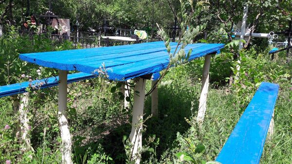 Minune într-un cimitir din zona de codru a Moldovei: Învie lemnul - Sputnik Moldova