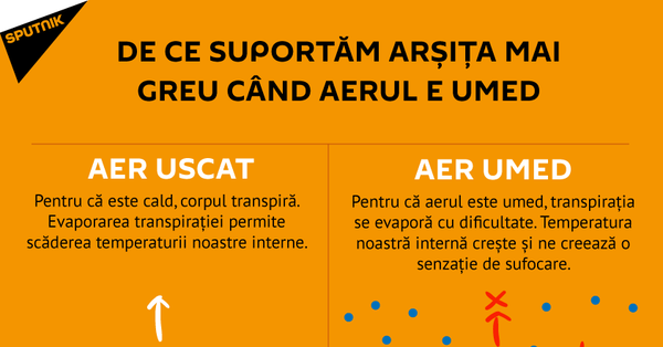 Arșița - Sputnik Moldova