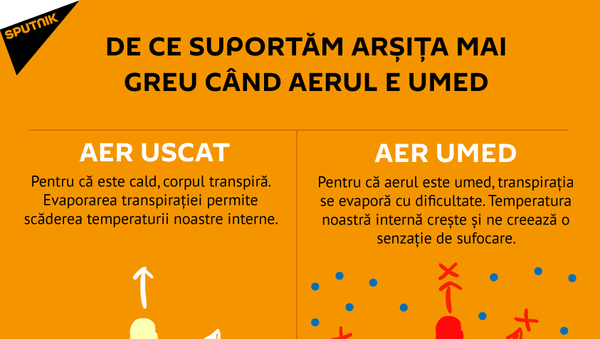 Arșița - Sputnik Moldova-România