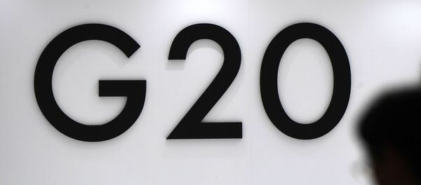 Рабочий визит президента РФ В. Путина в Японию для участия в саммите Группы двадцати - Sputnik Moldova-România